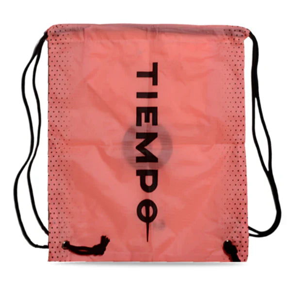 Shoebag